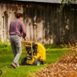 walk behind leaf blower